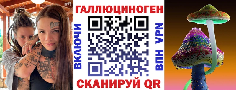купить   Ростов  Галлюциногенные грибы Psilocybe 